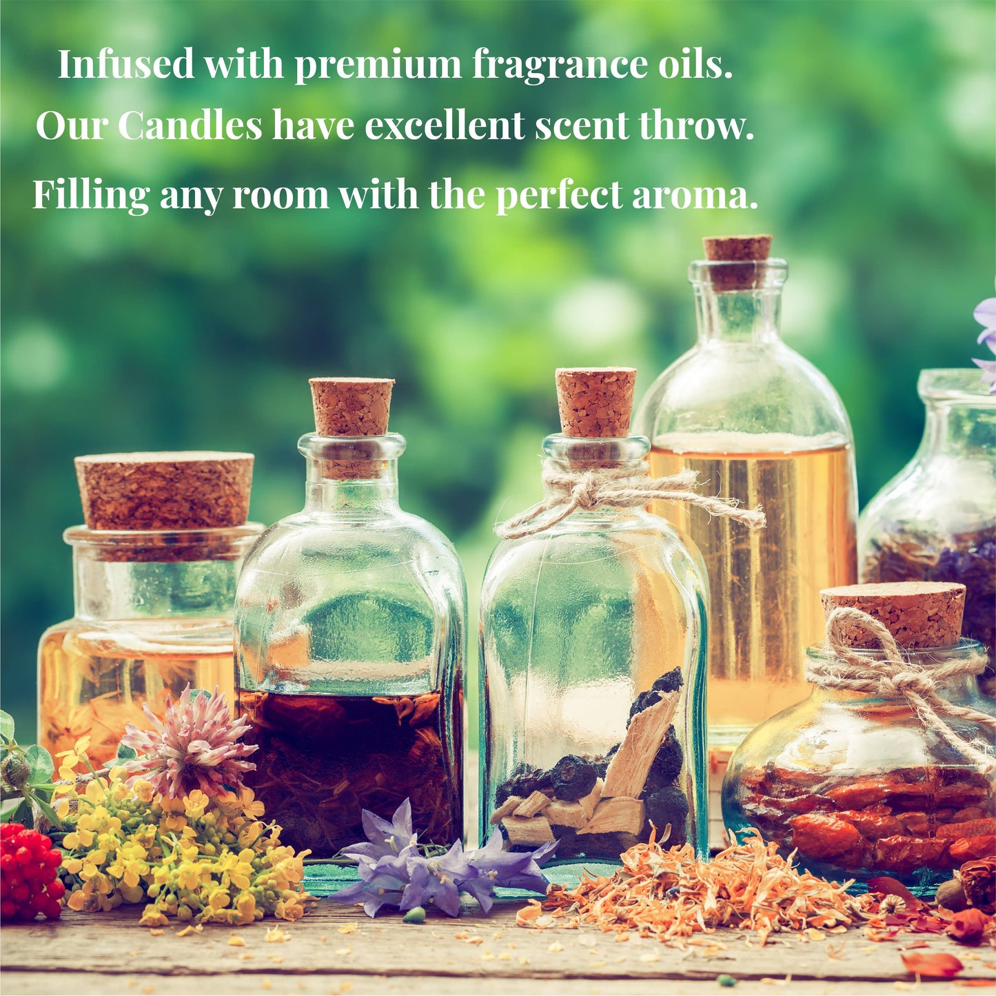 Men Are Like Public Toilets They Are Either Taken Soy Candle