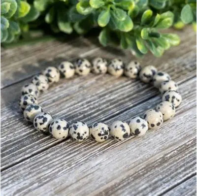 Men's Dalmatian Jasper Stone Bracelet-10MM