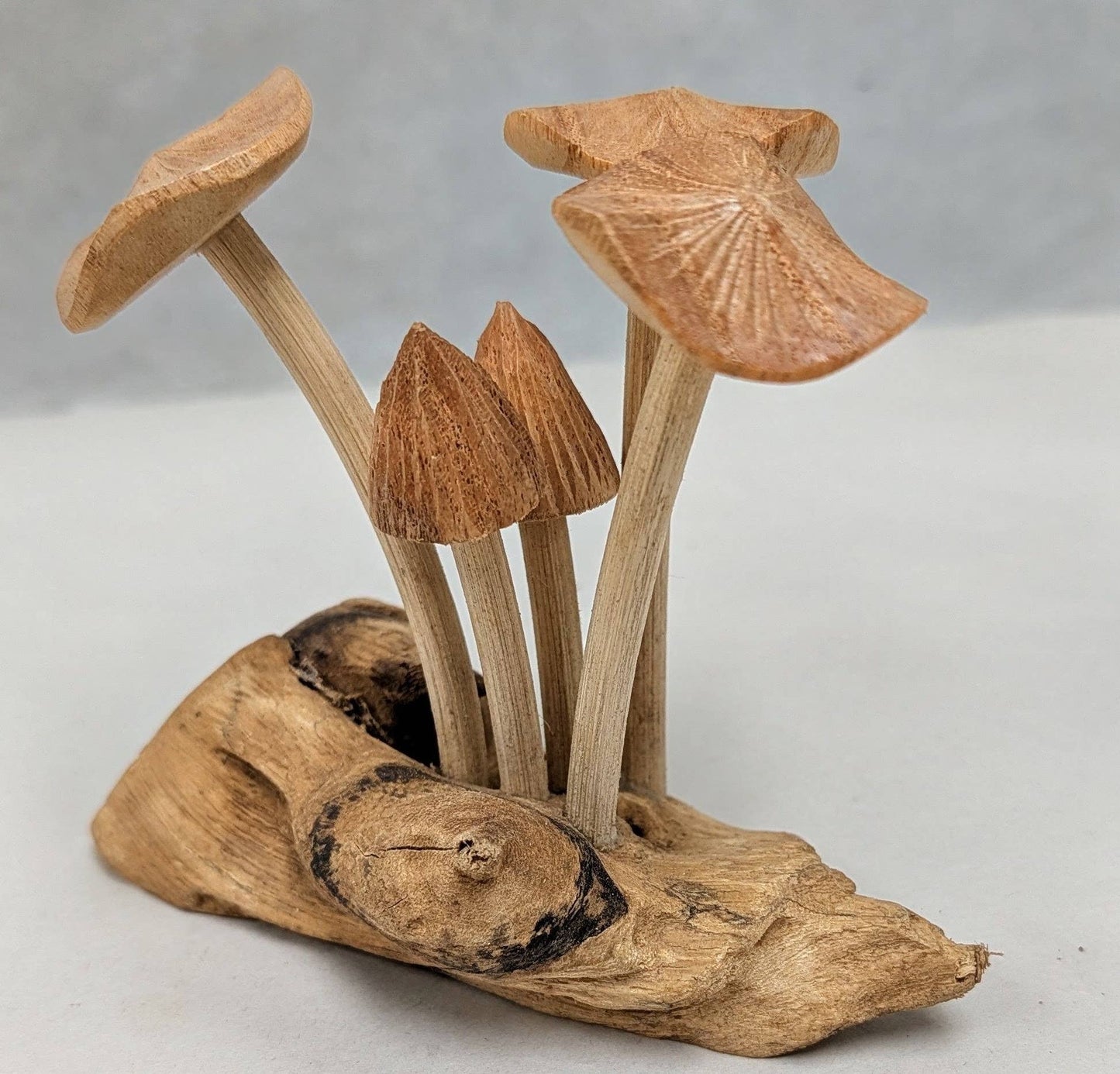 Carved Root Mushroom #1