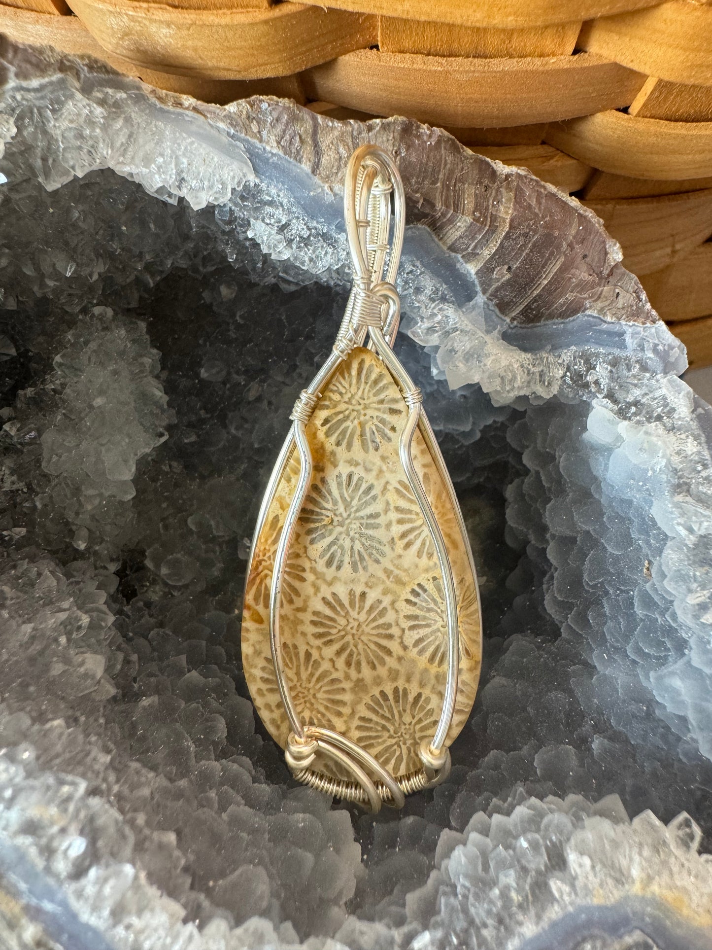 Fossilized Coral Pendant on 18" Sterling Silver Chain