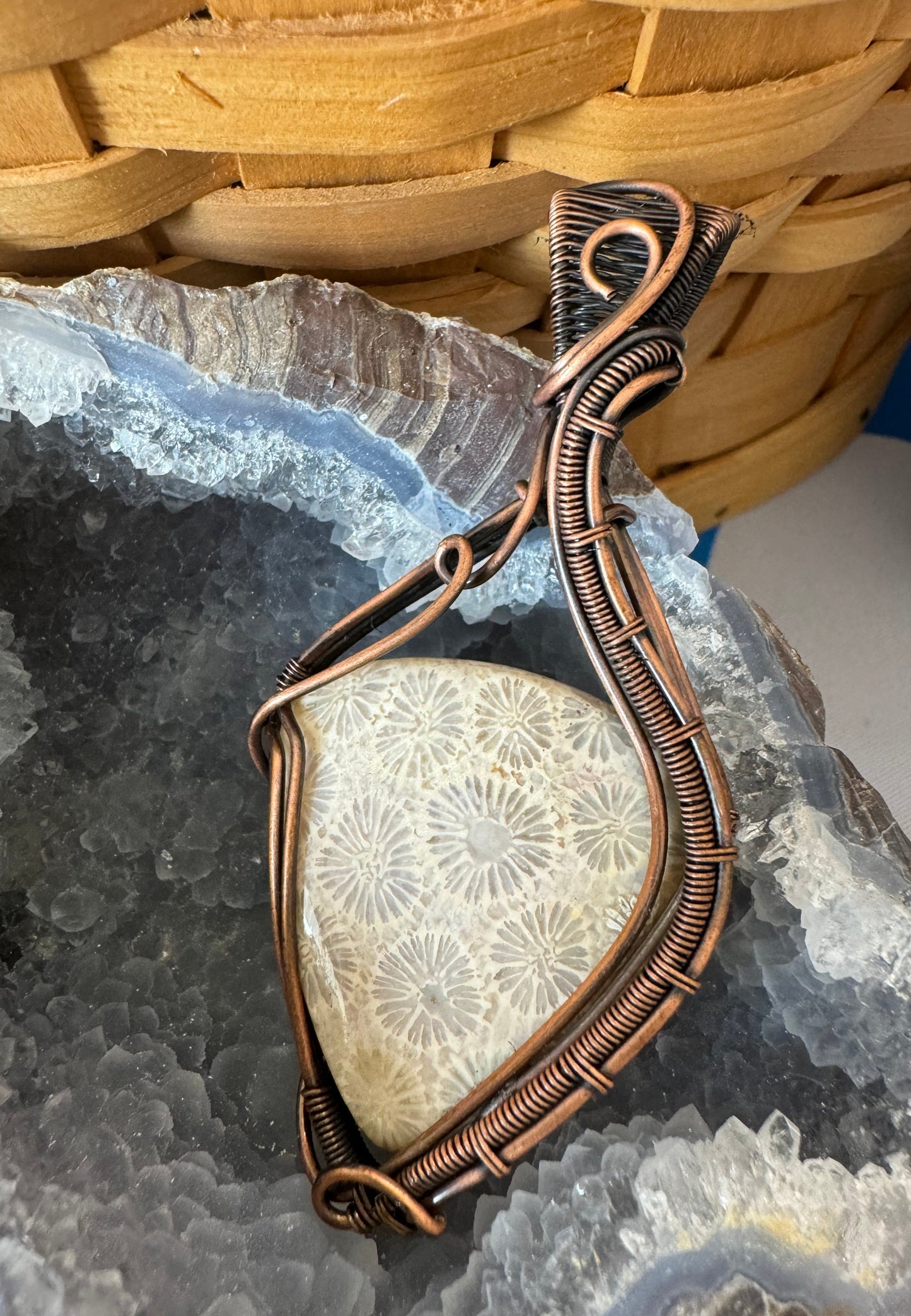 Fossilized Coral Pendant on 20" Copper Chain