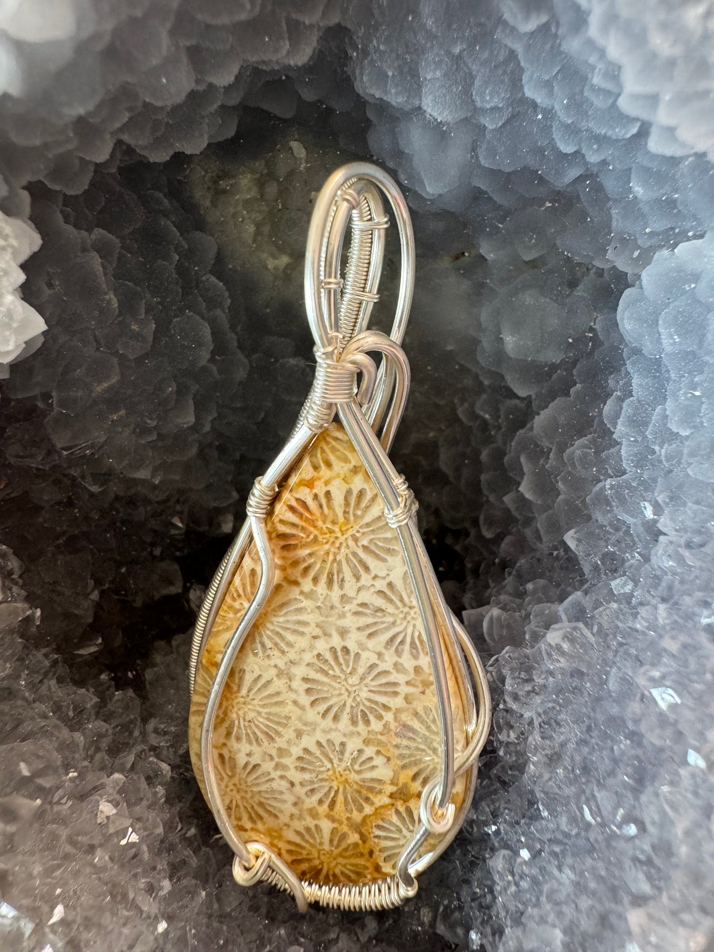Fossilized Coral Pendant on 16" Sterling Silver Chain