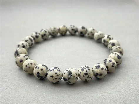 Matte Dalmatian Jasper Stone Bracelet 8mm