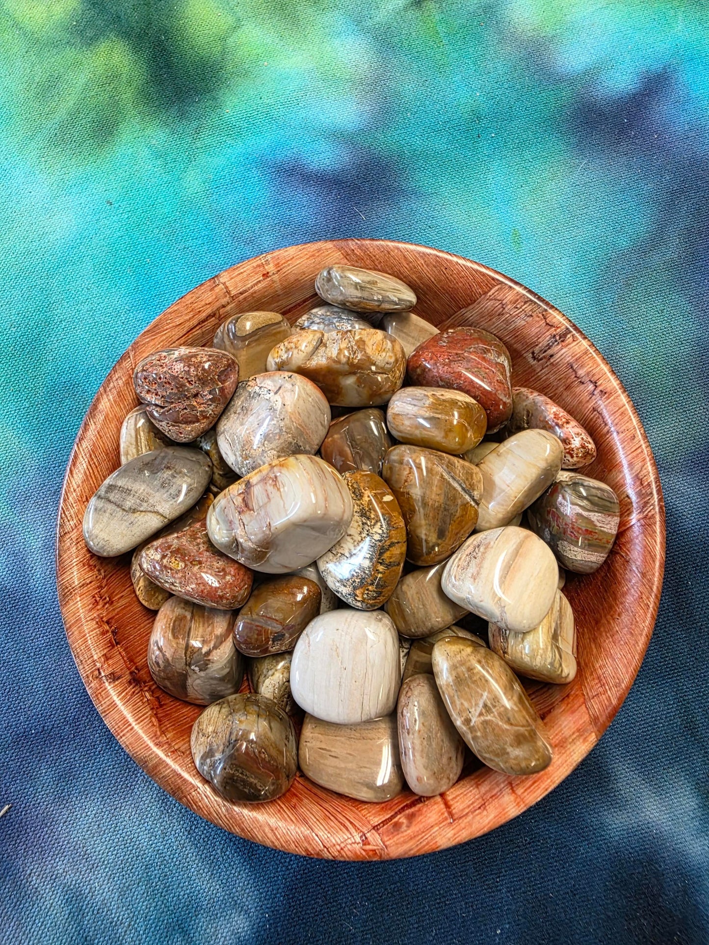 Petrified Wood Stone Tumble