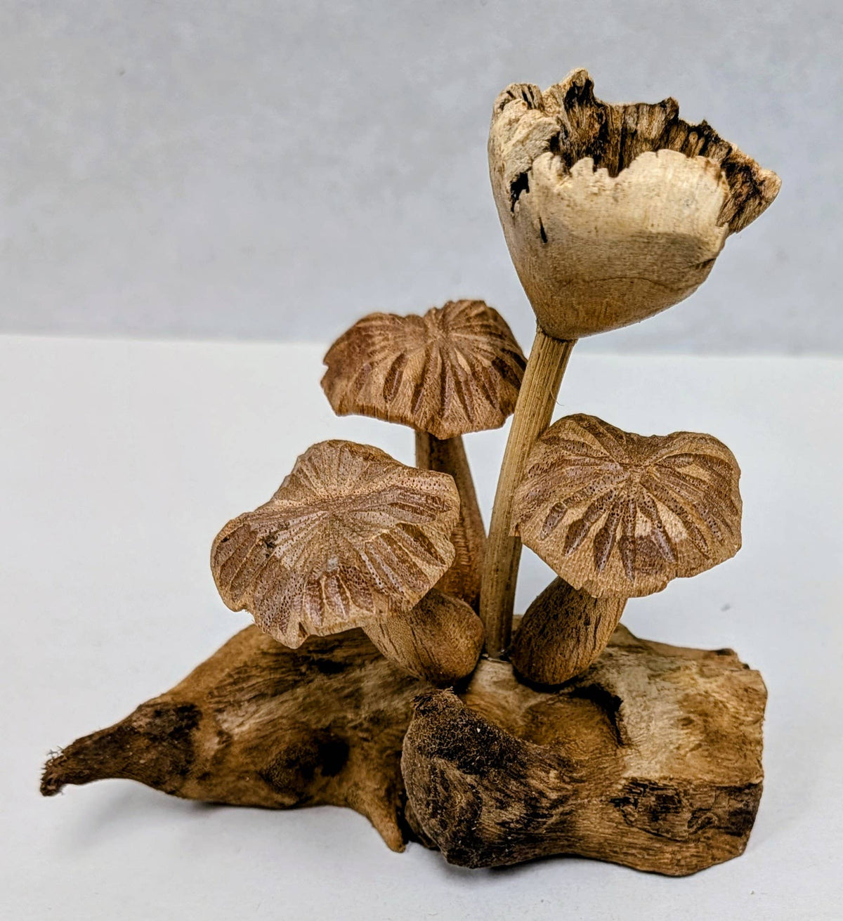 Carved Root Mushroom #15