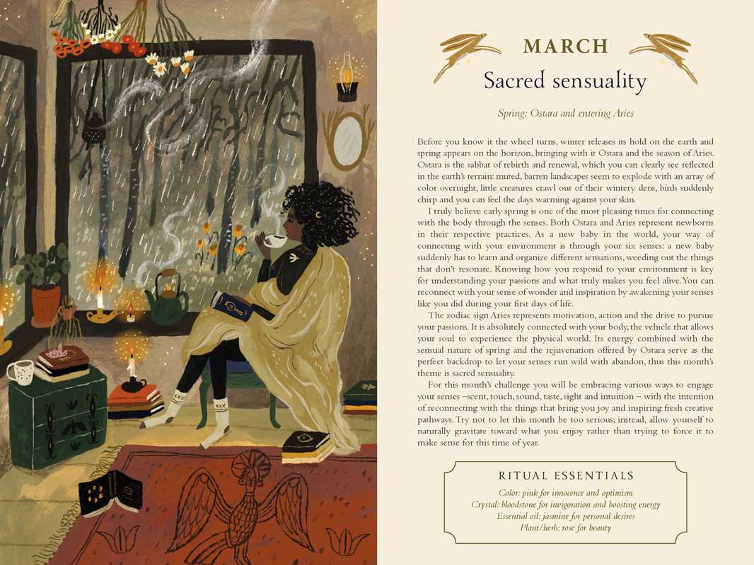 2026 Seasons of the Witch Planner Calendar by Lorriane Anderson