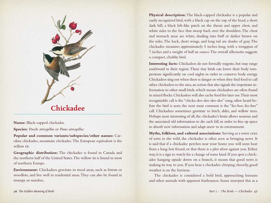 Hidden Meaning of Birds--A Spiritual Field Guide by Arin Murphy-Hiscock