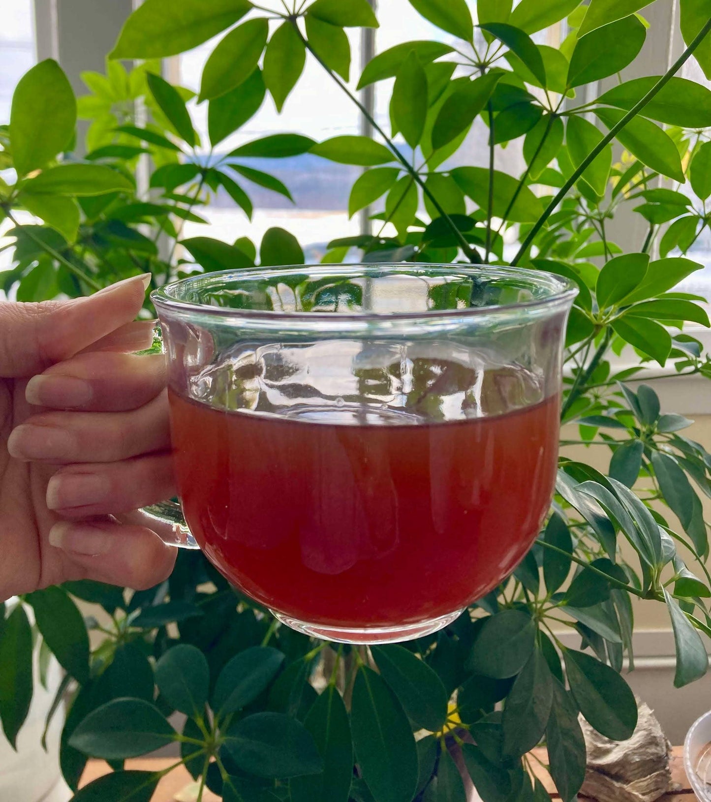 Heart & Soul Herbal Tea - Rooibos, Hibiscus, & Cacao