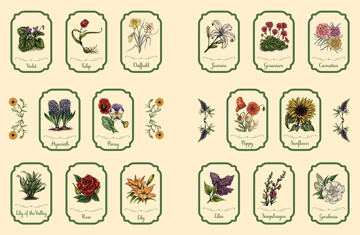 Green Witch's Sticker Book by Arin Murphy-Hiscock