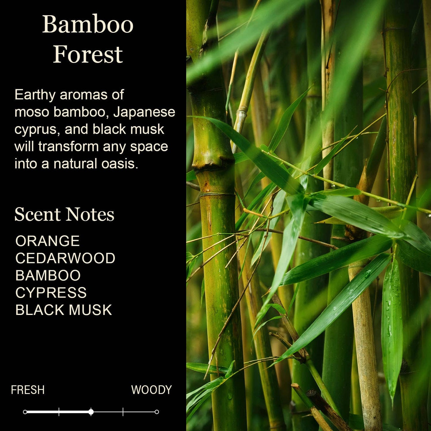 My Last Fuck, Oh Look It's on Fire Soy Candle