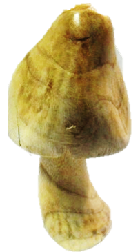 Carved Root Mushroom #13