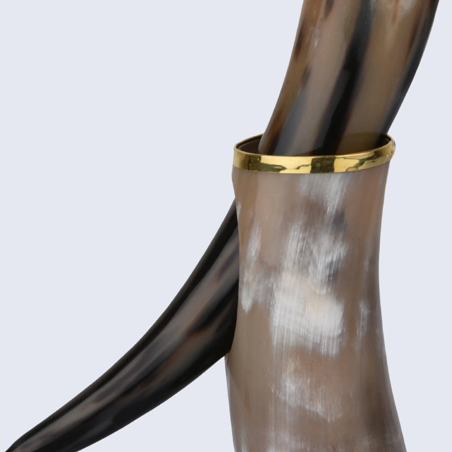 Drinking Horn with Stand - Holds Upto 16 oz, Metallic Finish
