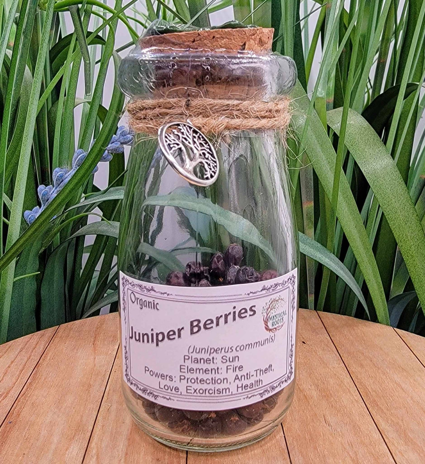 Herb Jar - Juniper Berries