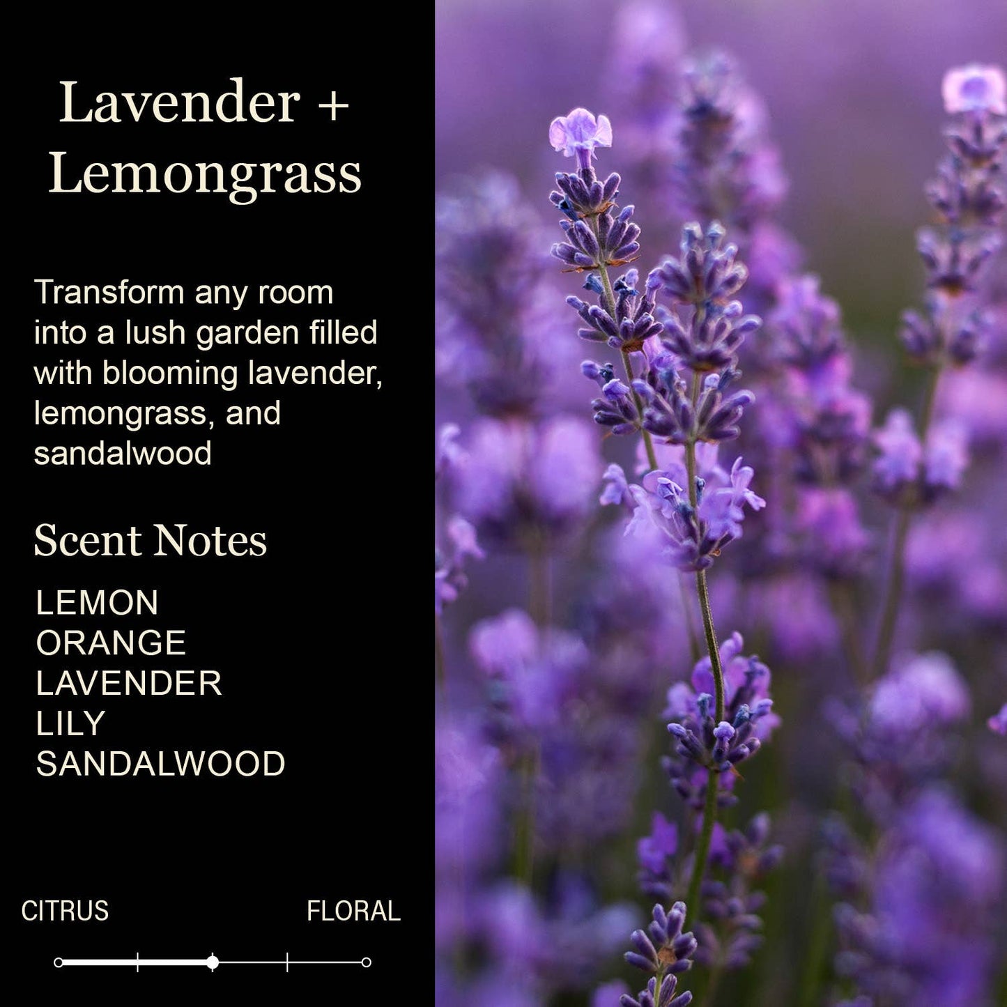 Funny Bathroom Candles | Would Poop Here Again *****