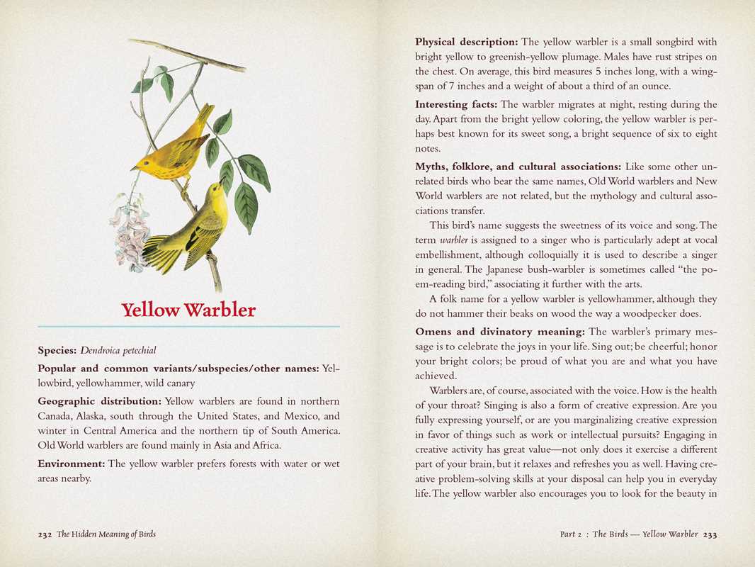 Hidden Meaning of Birds--A Spiritual Field Guide by Arin Murphy-Hiscock