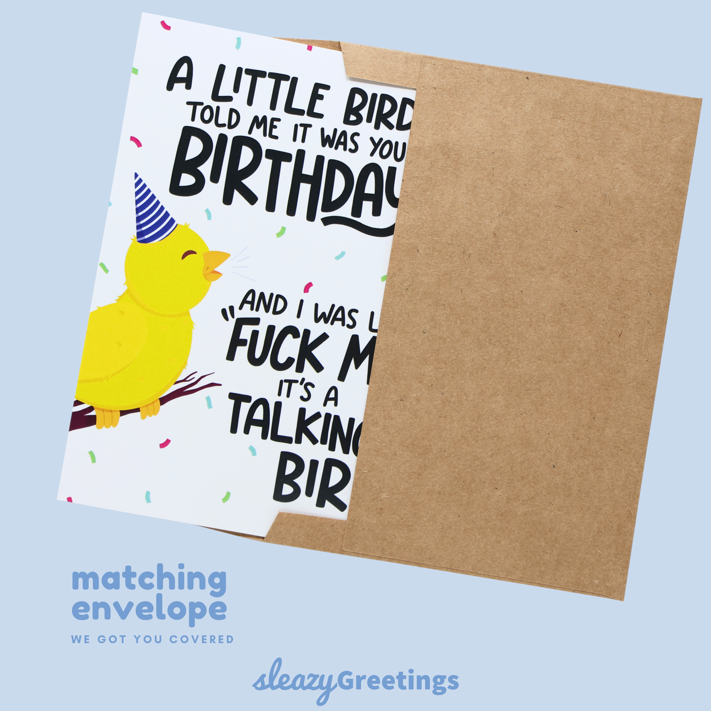 Little Birdie Funny Birthday Card for Men or Women 5x7 Inch