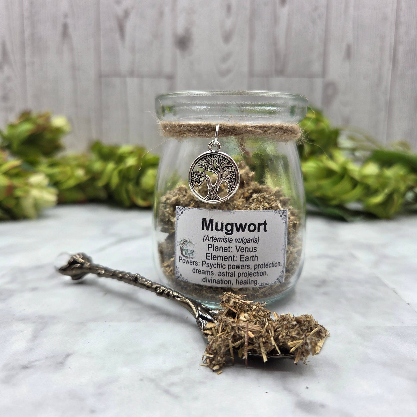 Mugwort Apothecary Herb Jar – Ritual Botanical