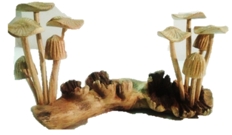 Carved Root Mushroom #9