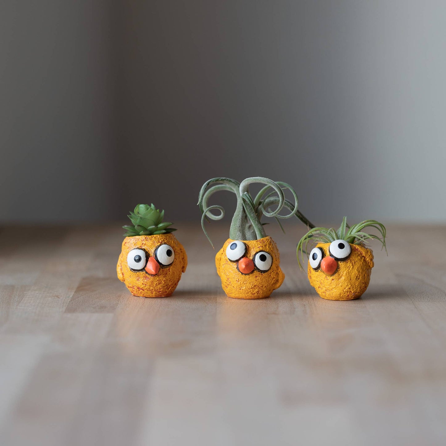 The Chickies - 3 piece - Baby Chick Blobhouse Planters