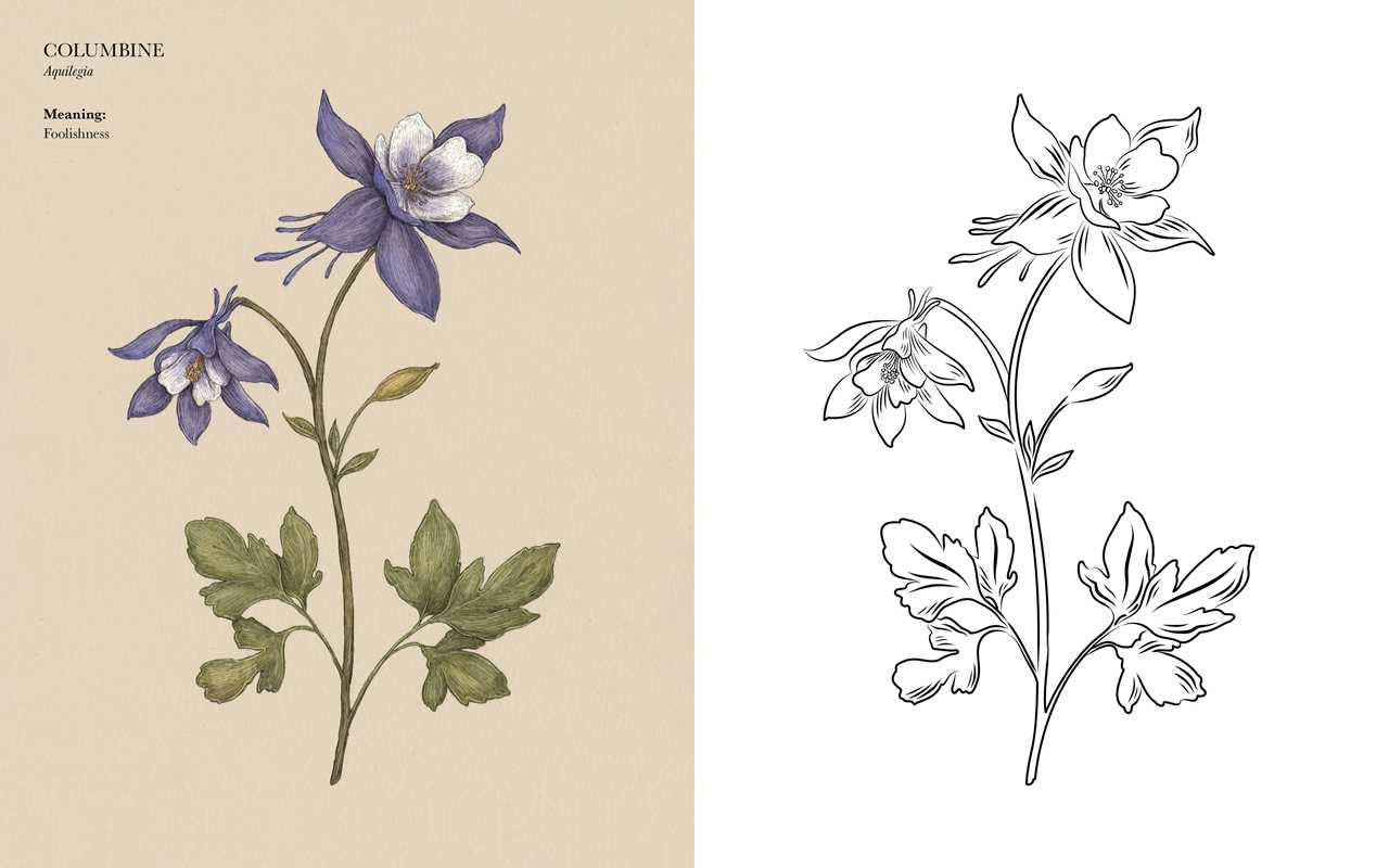 Floriography Coloring Book by Jessica  Roux