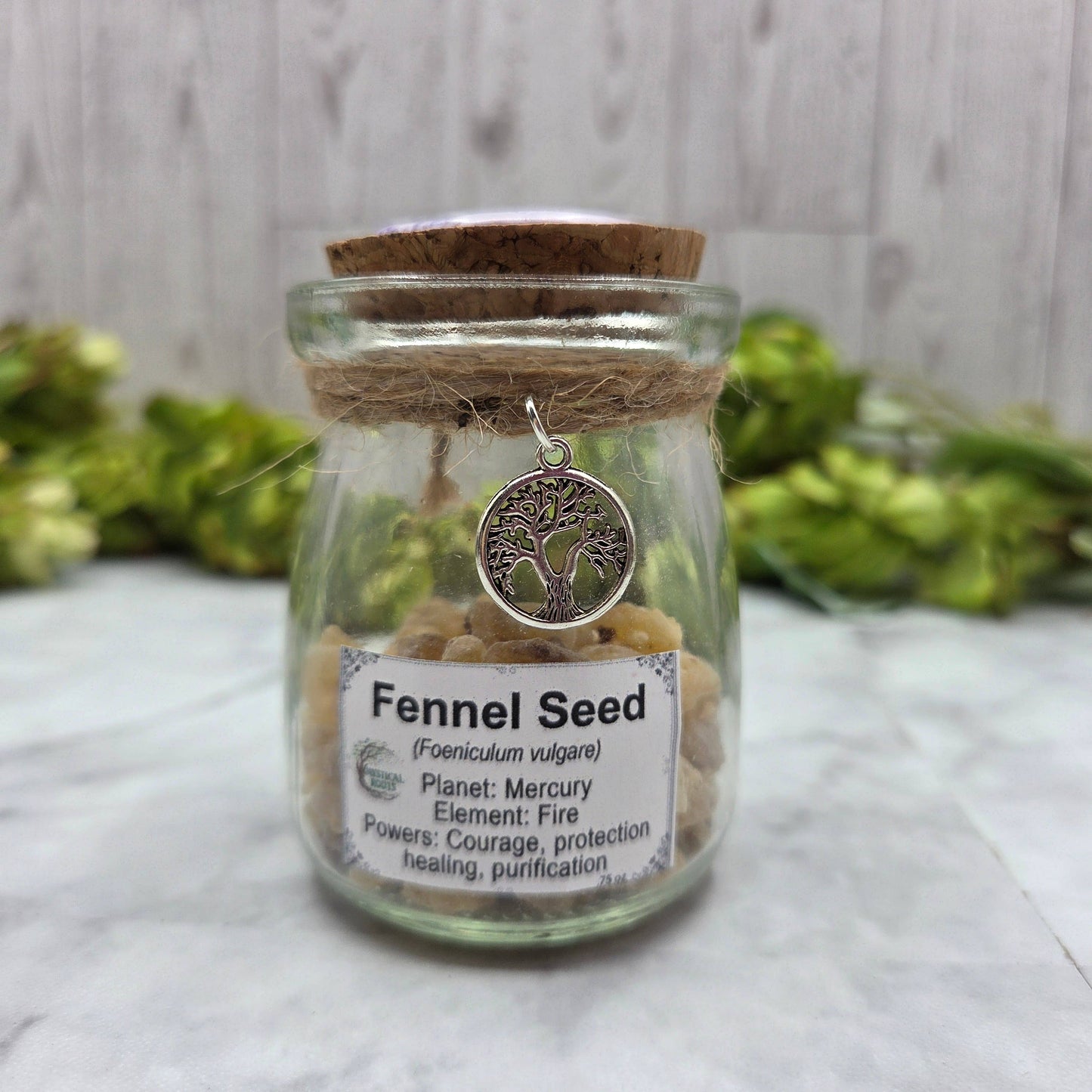 Fennel Seed Apothecary Herb Jar – Ritual Botanical