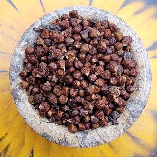 Herb Jar - Grains Of Paradise