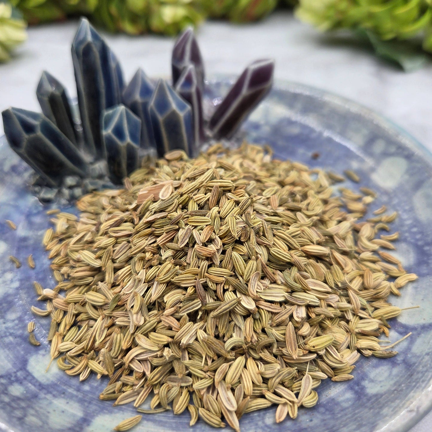 Fennel Seed Apothecary Herb Jar – Ritual Botanical