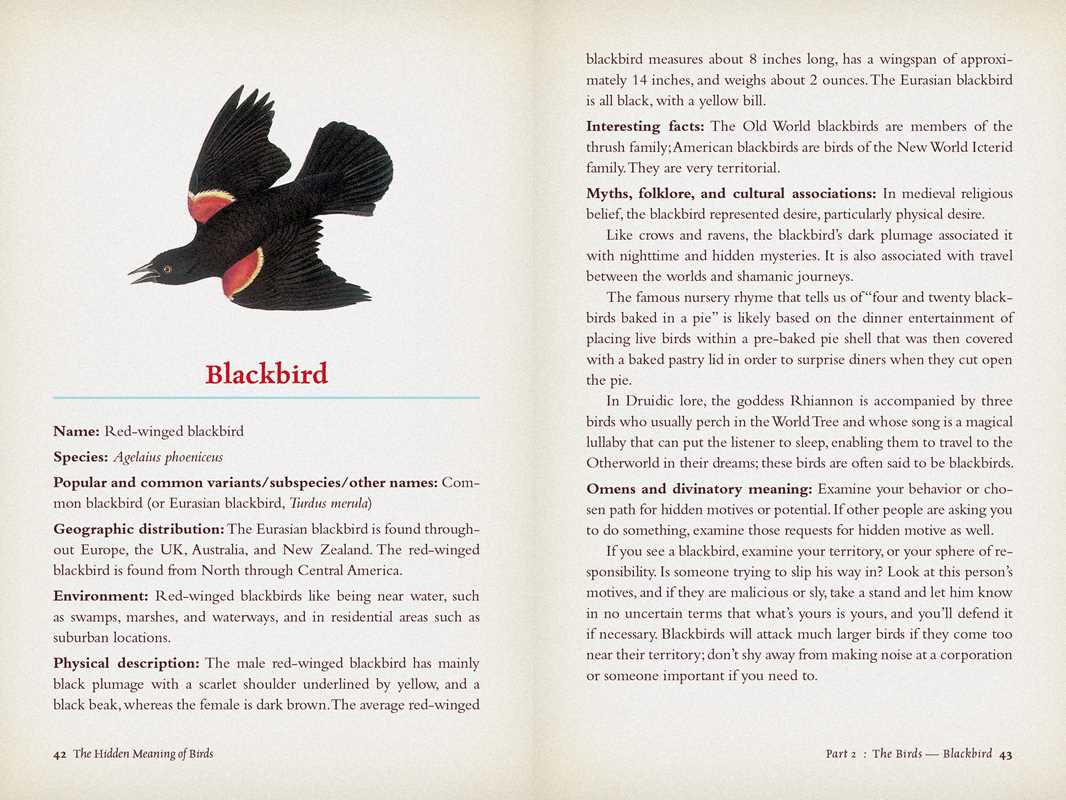 Hidden Meaning of Birds--A Spiritual Field Guide by Arin Murphy-Hiscock