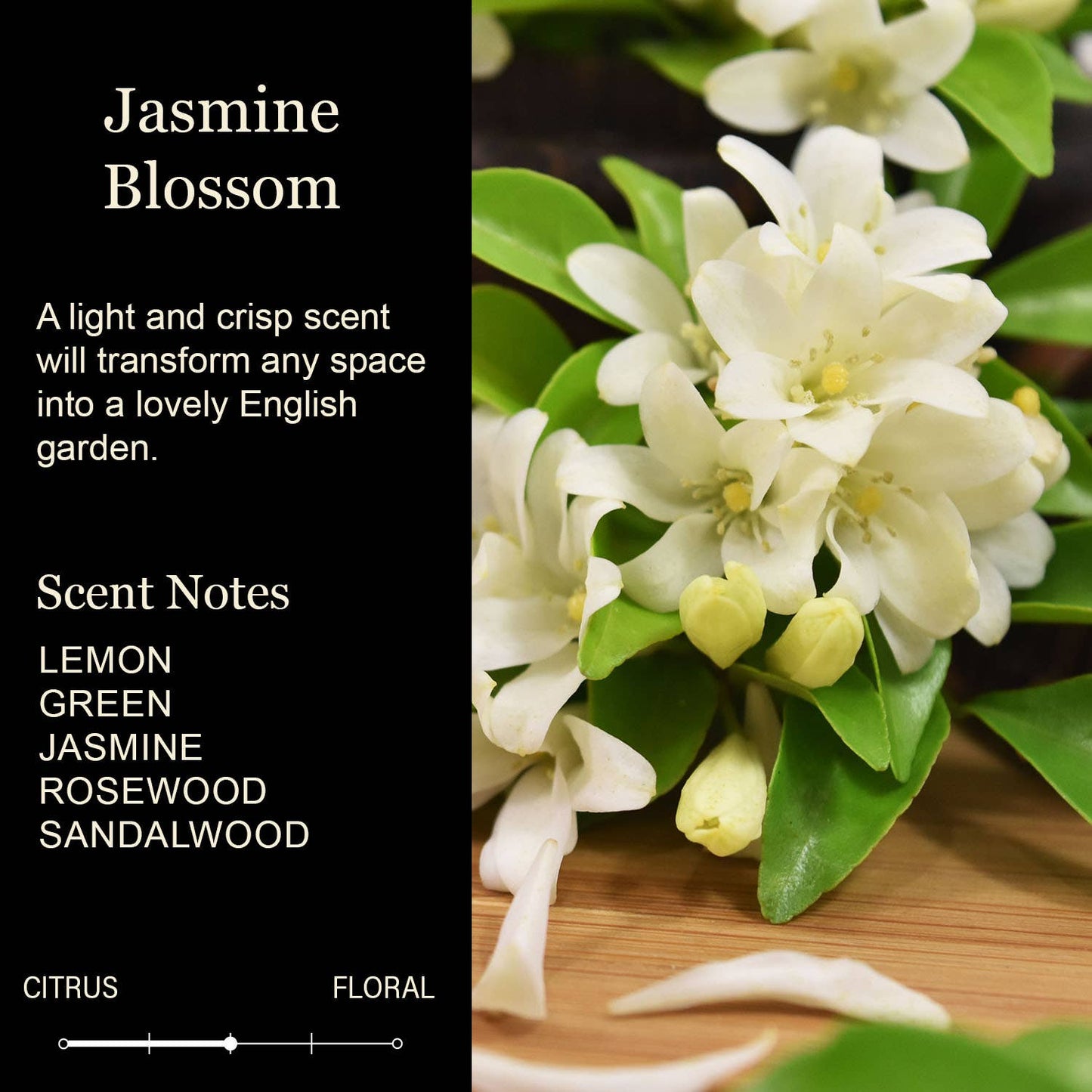 I Love You More Than a Back Alley Hooker Loves Crack