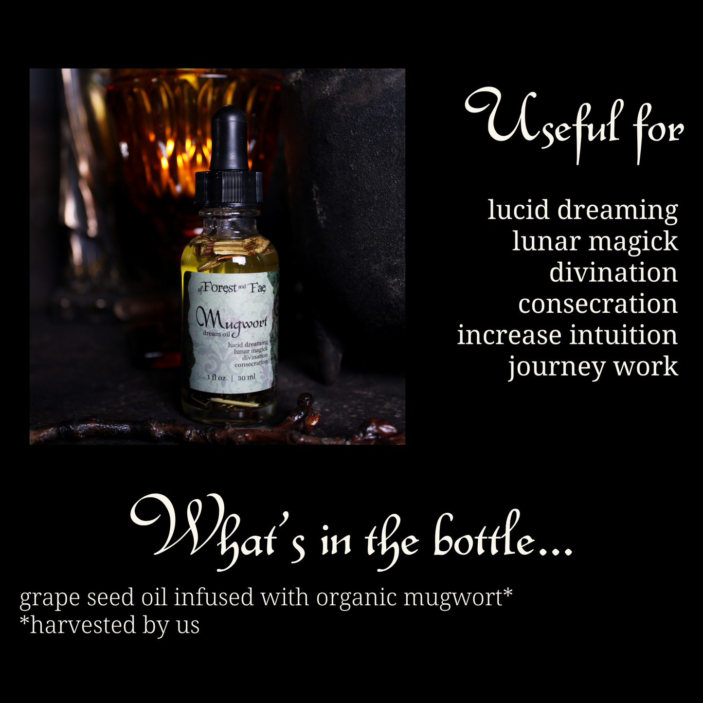 Mugwort Oil • Herb infused for lucid dreaming & journey work