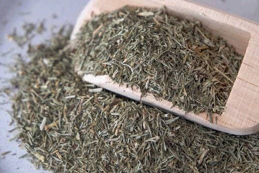 Herb Jar - Horsetail (Shavegrass)