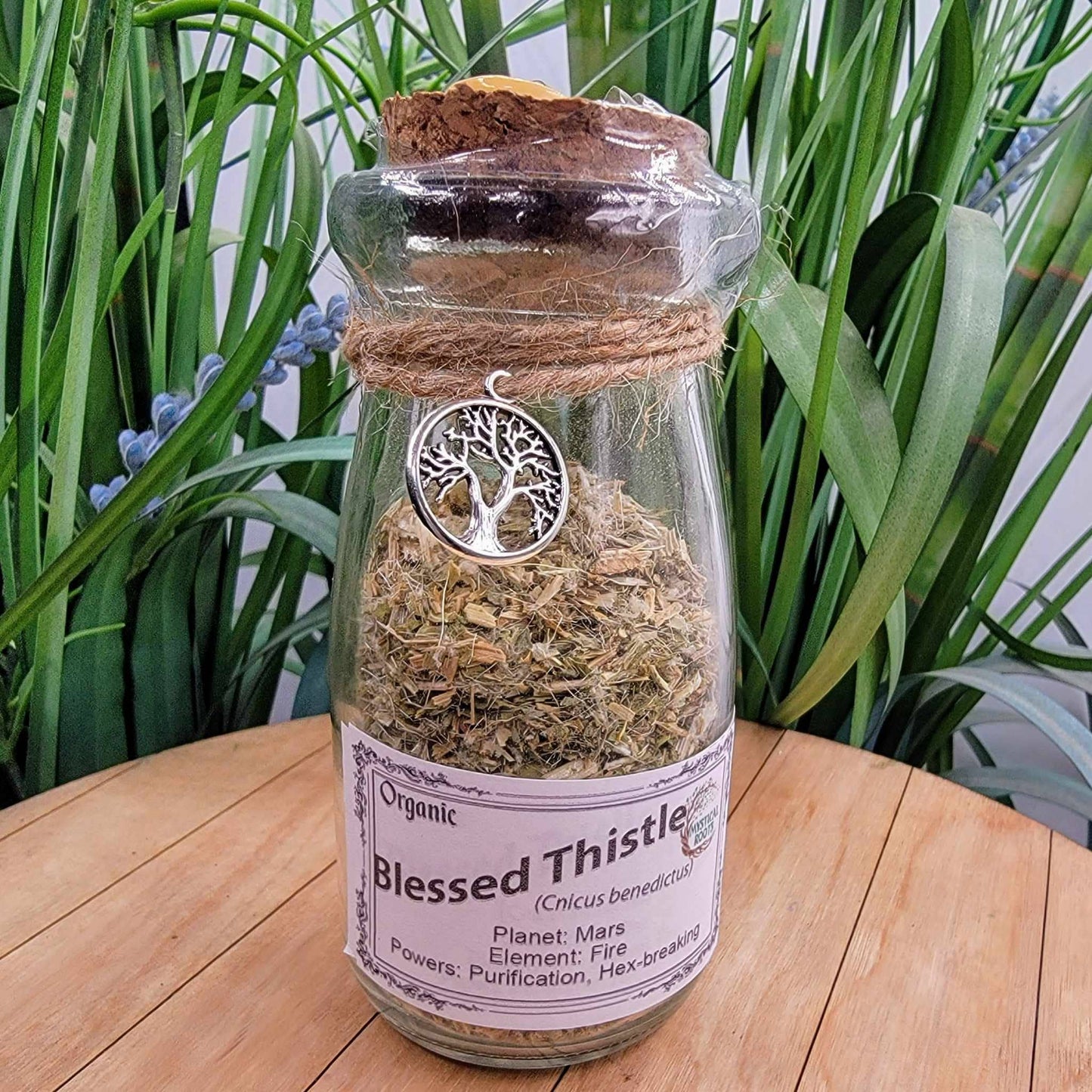 Herb Jar - Blessed Thistle