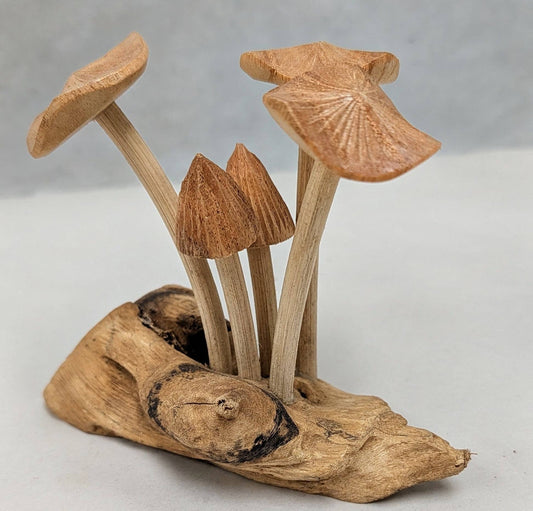 Carved Root Mushroom #1
