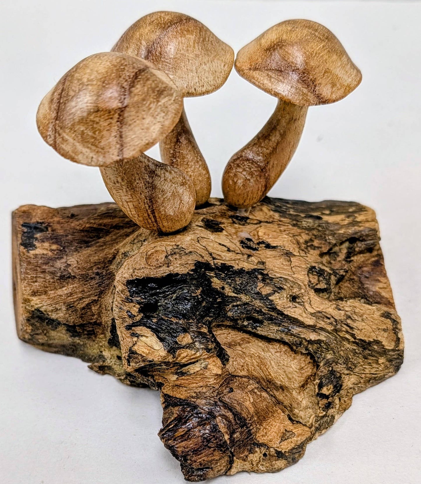 Carved Root Mushroom #7