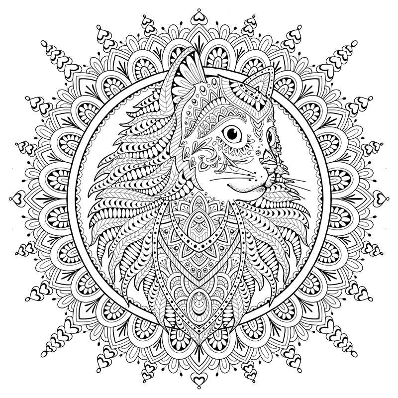 My Cat Mandala Coloring Book by Marica Zottino