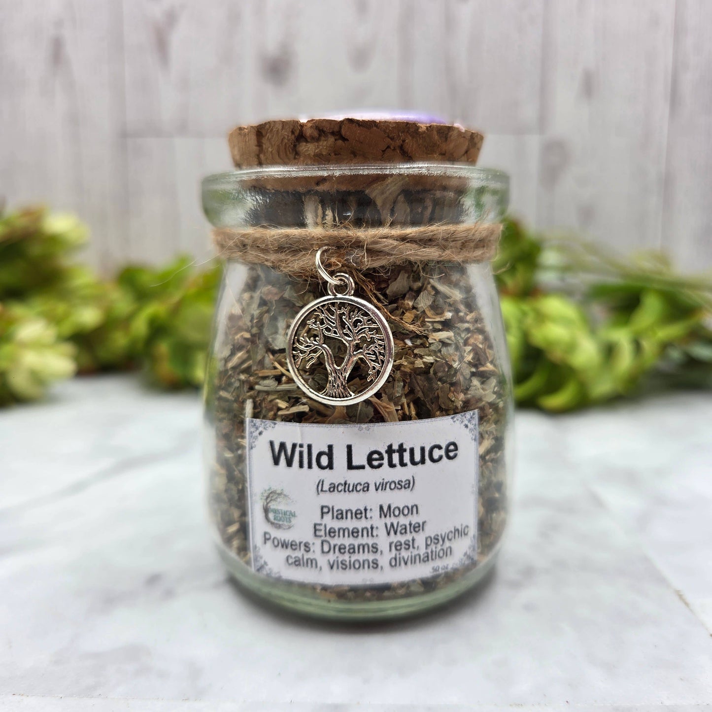 Wild Lettuce Apothecary Herb Jar – Ritual Botanical