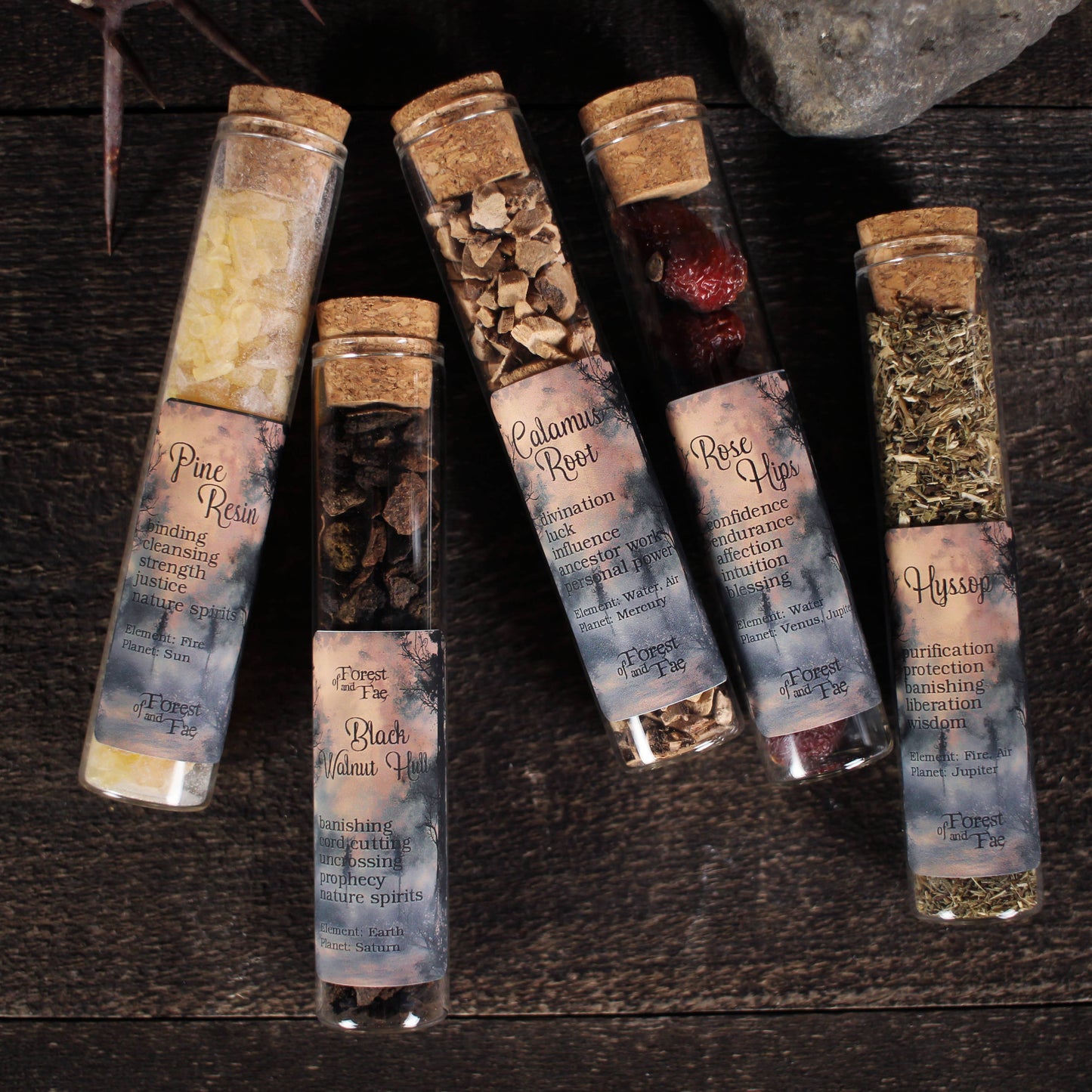 Mountain Conjure • 5 Herb Set for Ritual • Witchcraft