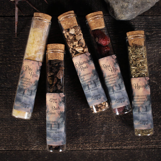 Mountain Conjure • 5 Herb Set for Ritual • Witchcraft