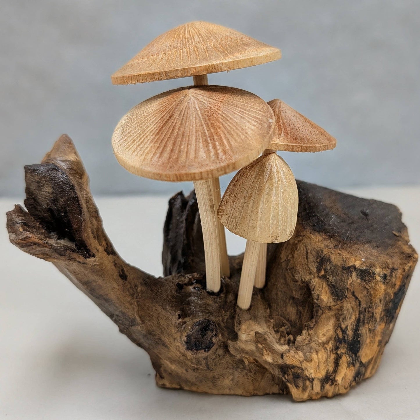 Carved Root Mushroom #6