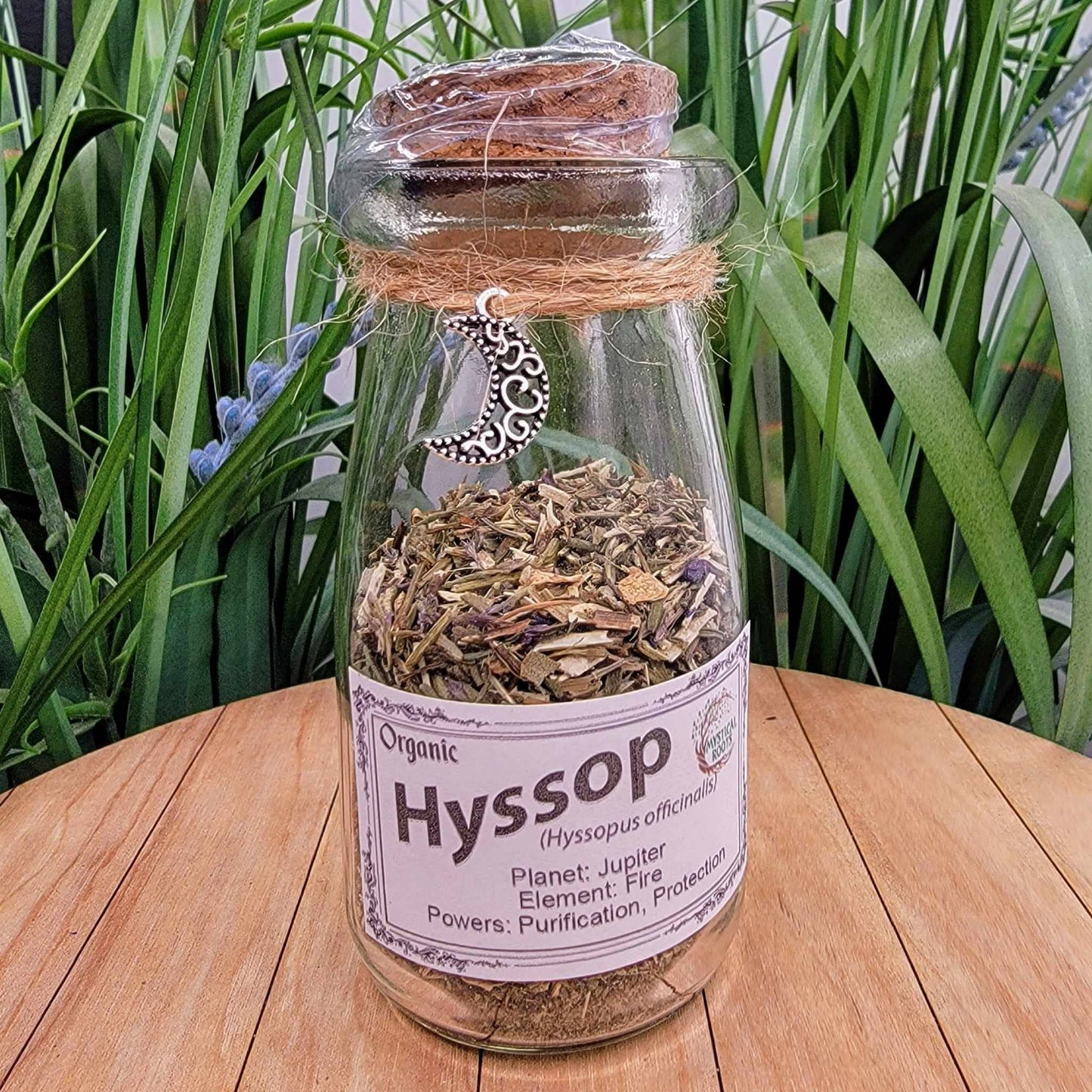 Apothecary Jar - Hyssop