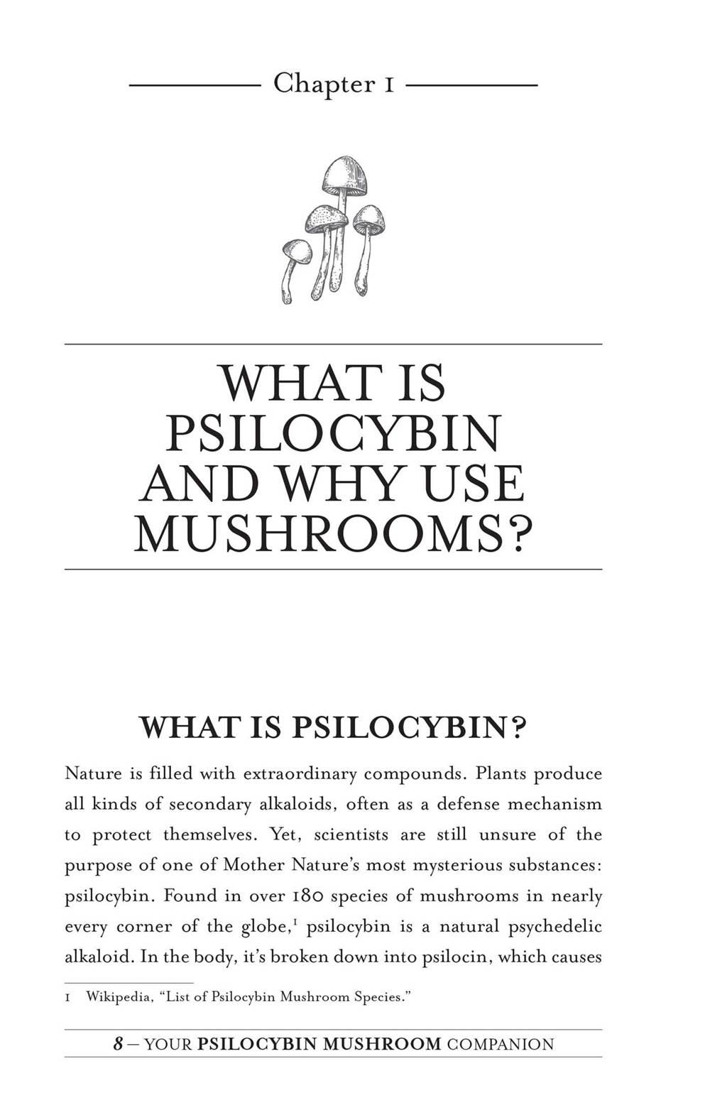 Your Psilocybin Mushroom Companion