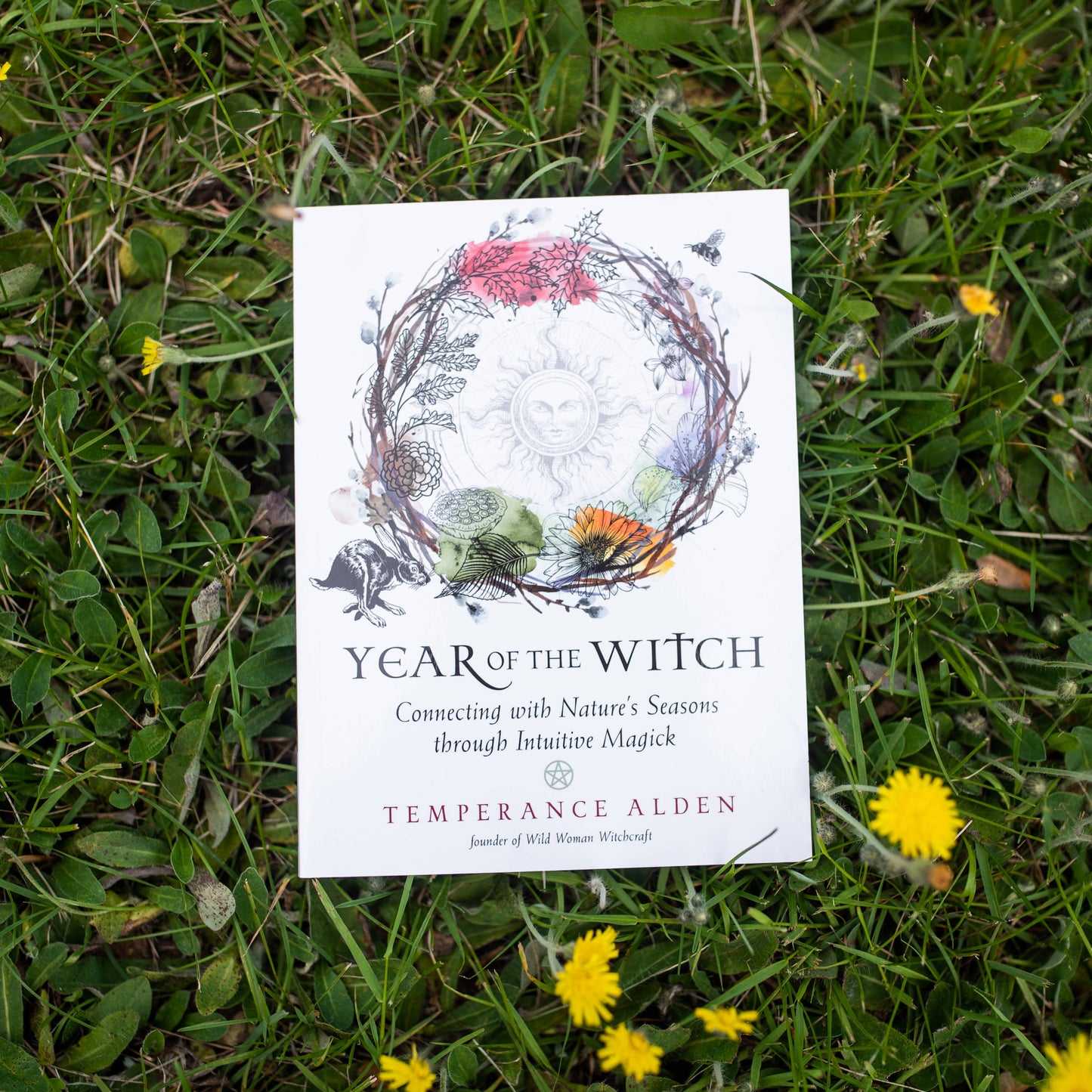 Year of the Witch (Paperback)