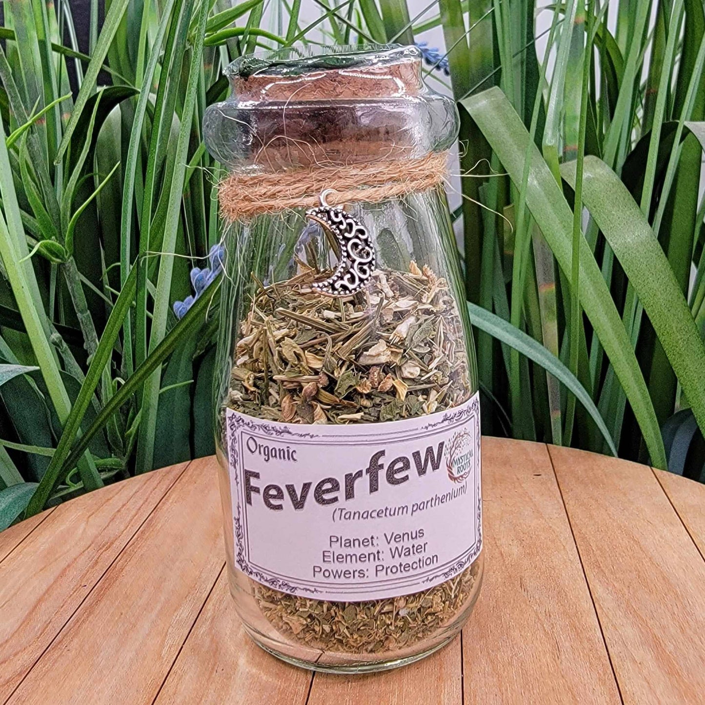 Apothecary Jar - Feverfew