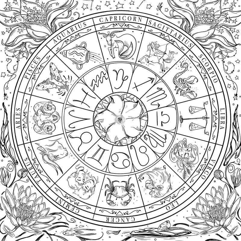 Green Witch's Coloring Book by Arin Murphy-Hiscock