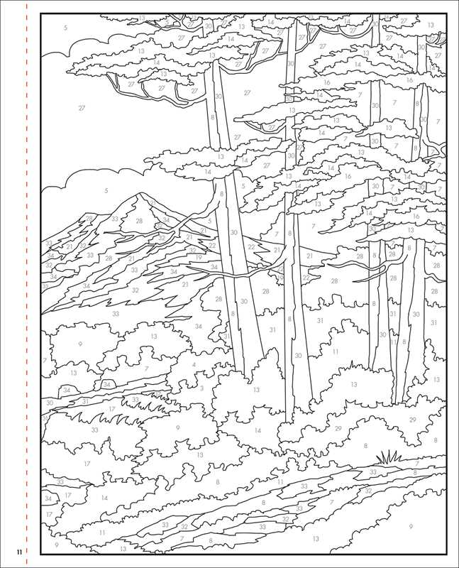 Bob Ross Color-by-Number by Editors of Thunder Bay Press