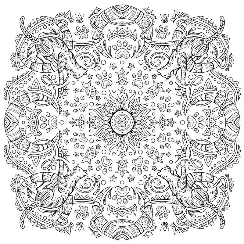 My Cat Mandala Coloring Book by Marica Zottino