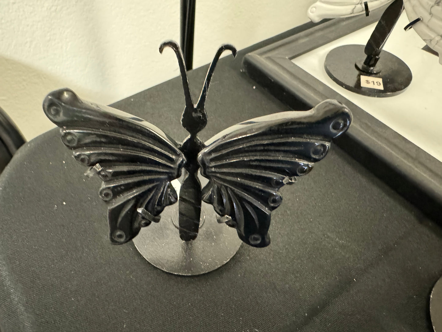 Small Black Obsidian Butterfly Wings