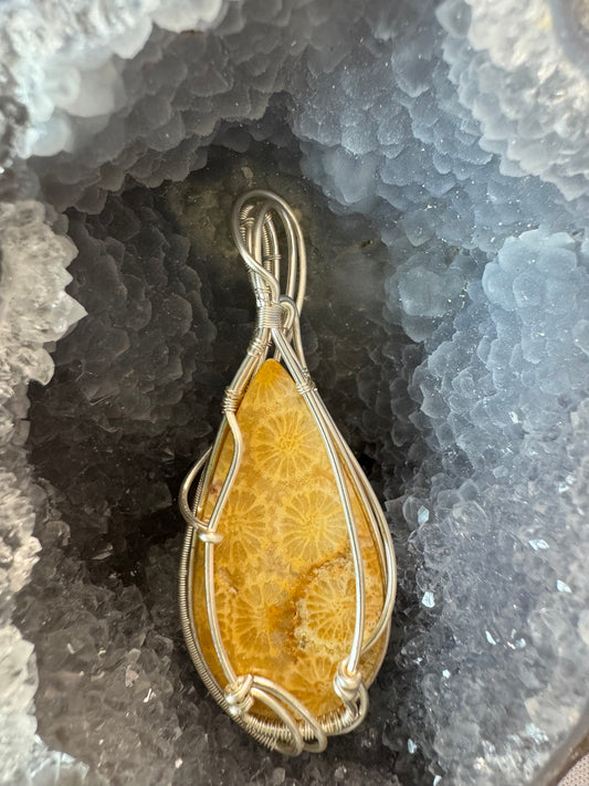 Fossilized Coral Pendant