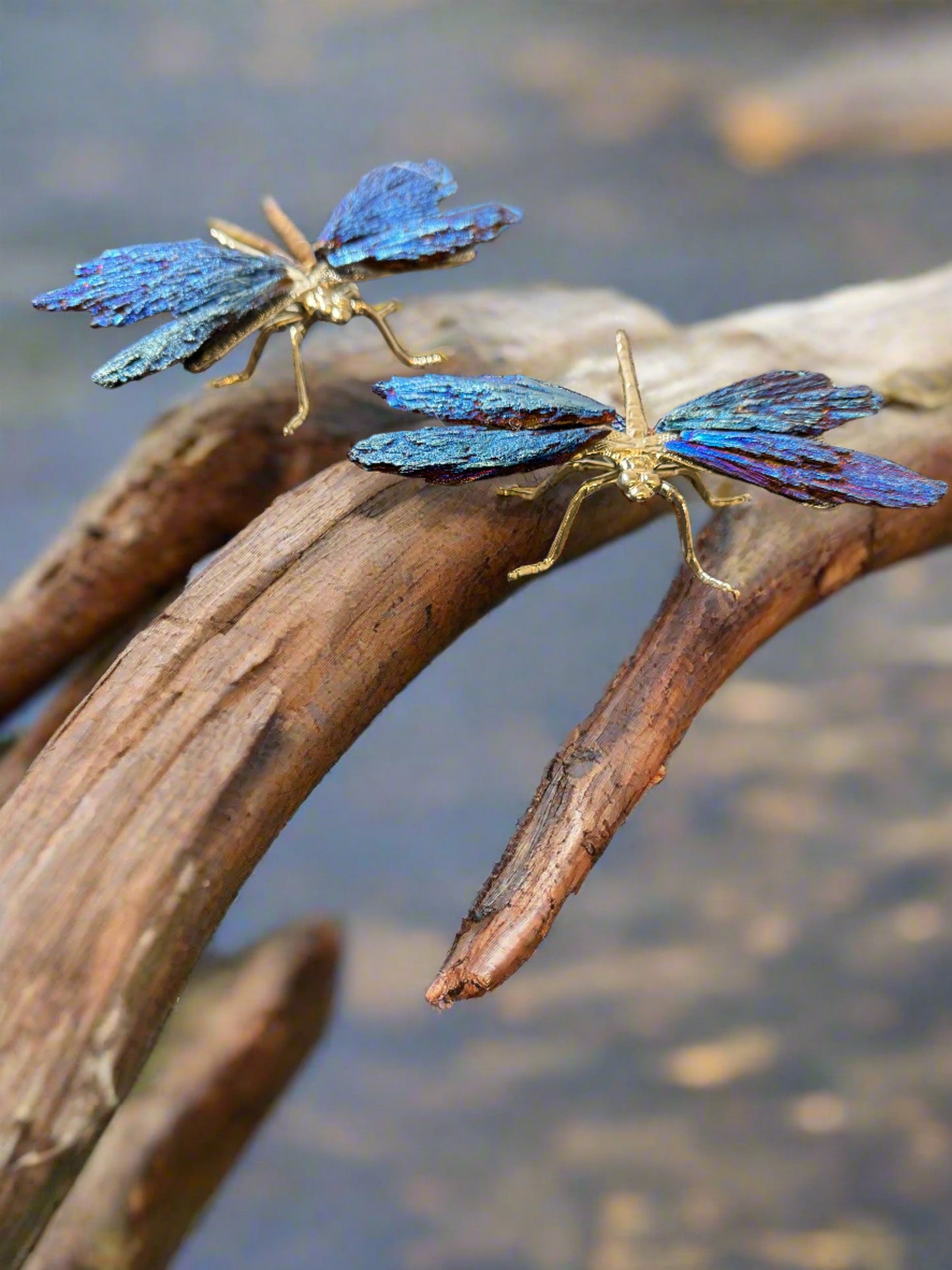 Blue Aura Kyanite Dragonfly Stone Carving