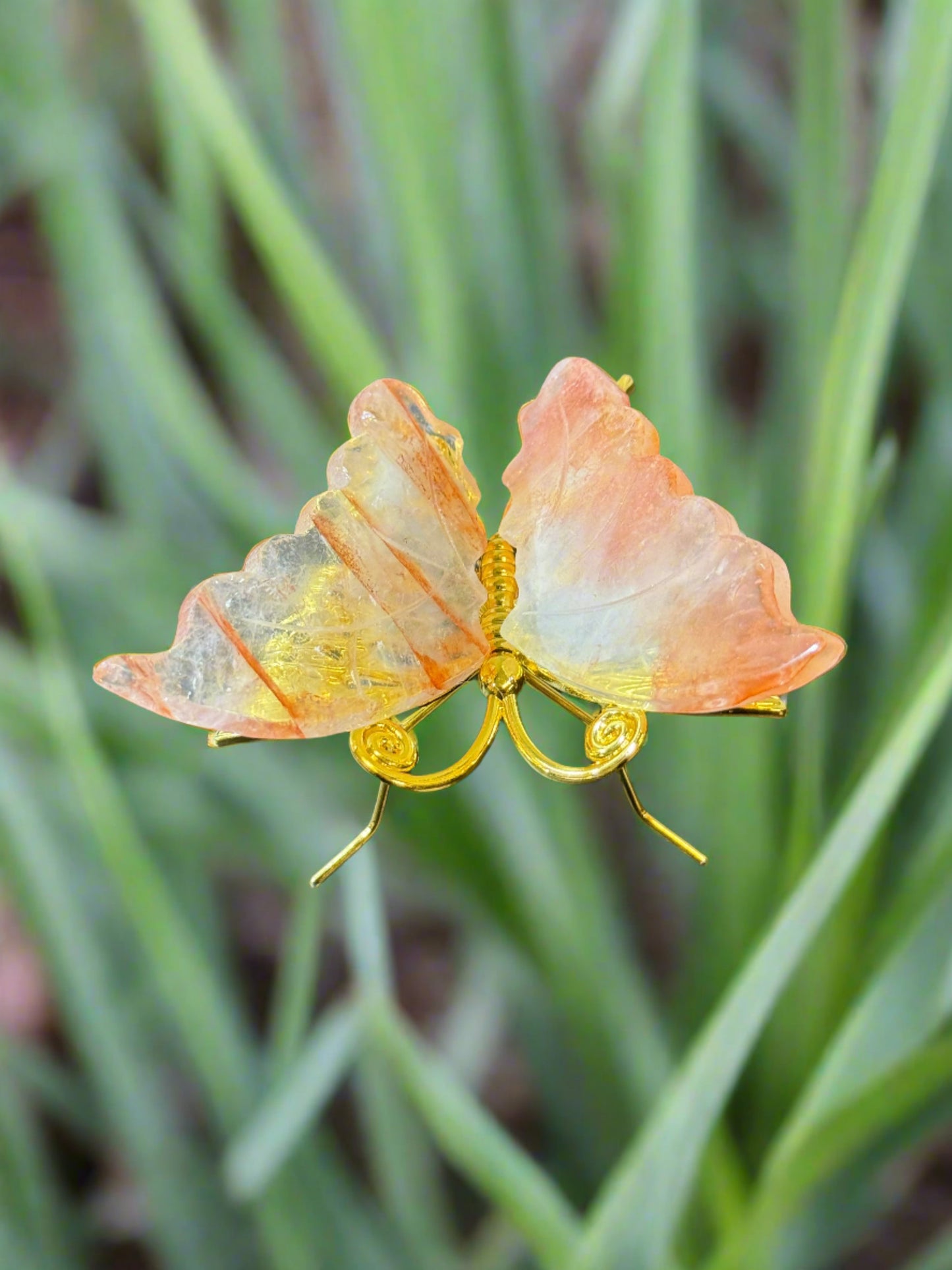 Butterflies